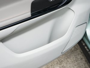 2022Rհ 1.5T DCTȼ  Tg