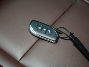 2022ʢ 1.5T ԄӴ͑ ܇耳