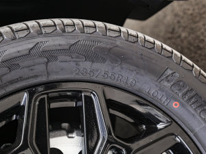 2023430 Elite ݆̥ߴ