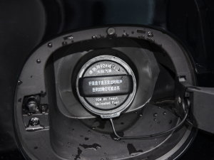 2024j 1.5TD DCTR՘sҫ (ji)^