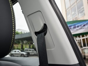 2024j 1.5TD DCTR՘sҫ g