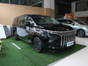 2024款1.5TD 200km 中国结系列 尊享型 整体外观