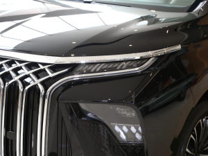 2024款1.5TD 200km 中国结系列 尊享型 细节外观