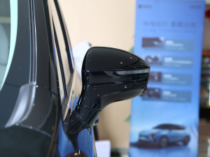 2024款1.5TD 200km 中国结系列 尊享型 细节外观