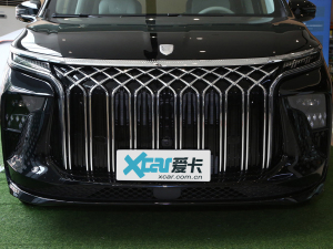 2024款1.5TD 200km 中国结系列 尊享型 细节外观