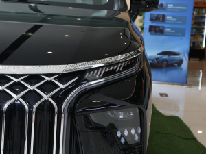 2024款1.5TD 200km 中国结系列 尊享型 细节外观