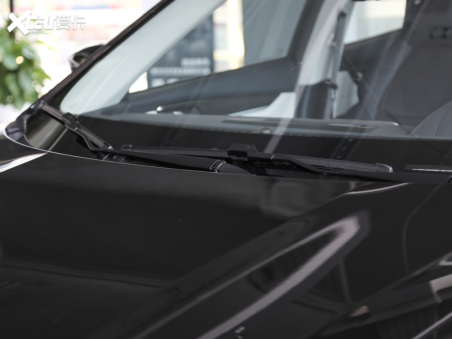 2019REX5 520 Extra °