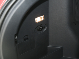 2019520 Extra (chung)° g