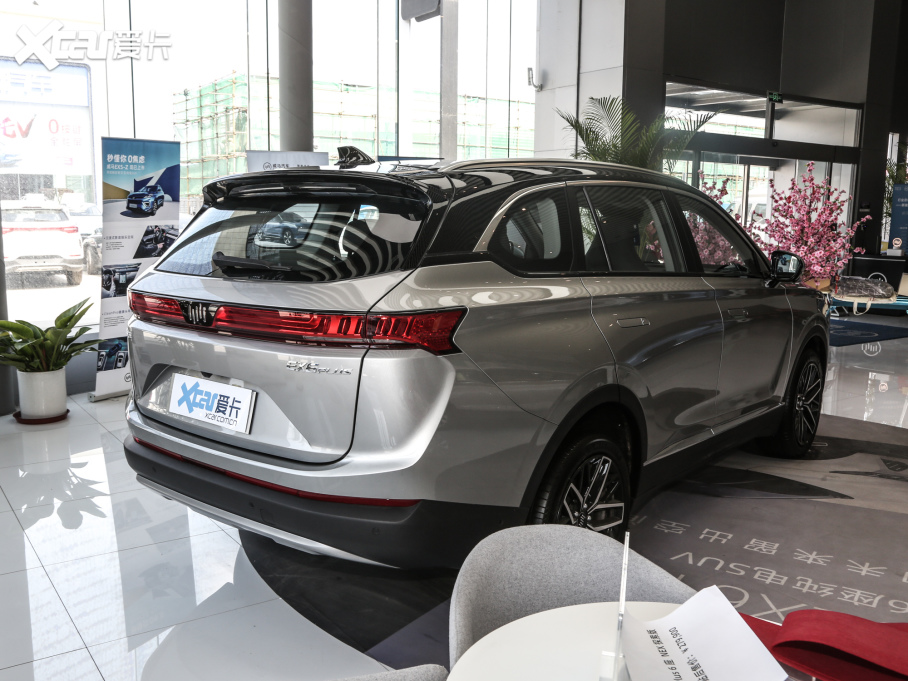 2020REX6 Plus Proܰ 6