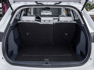 2020EX5-Z Fun Ӹа g