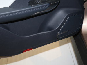 2020EX5-Z Nex ̽ ǰTg