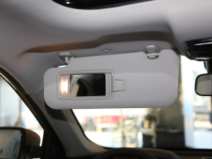 2020EX5-Z Nex ̽ ꖰ壨