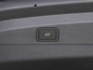 2021520km NEX̽ п؅^(q)