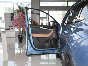 2021620km ACEOǰ {λ܇T