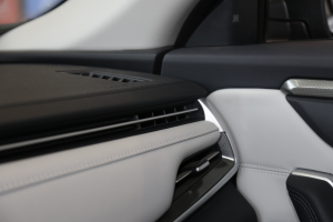 2021EX5-Z FunӸа п؅^