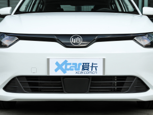 2021款500 即客行 中网