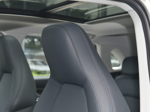 2022EX5-Z Nex̽ 400 g