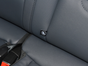 2022EX5-Z Nex̽ 400 g