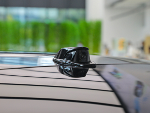 2022������� �������^