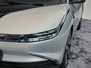 2022������� �������^