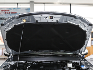 20192.0T 򌾫Ӣ ˜؛  V 