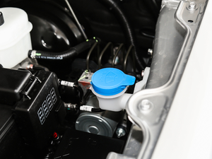 20192.0T (q)Ӣ (bio)(zhn)؛  (gu)V 