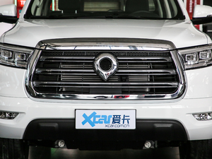 2019款2.0T 自动两驱舒适版 中网