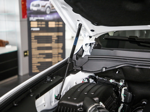 2019款2.0T 自动两驱舒适版 其它