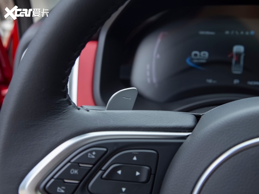 2020���ڳ���Ƥ�� ԽҰ�� 2.0T �Ԅ������A�� ����