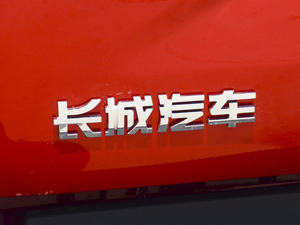 2020款越野版 2.0T 自动四驱进阶型 汽油 细节外观
