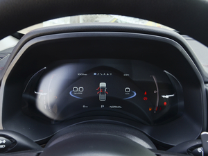 2020款越野版 2.0T 自动四驱进阶型 汽油 仪表