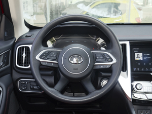 2020款越野版 2.0T 自动四驱进阶型 汽油 方向盘