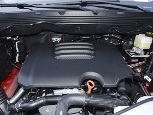 2020款越野版 2.0T 自动四驱进阶型 汽油 其它