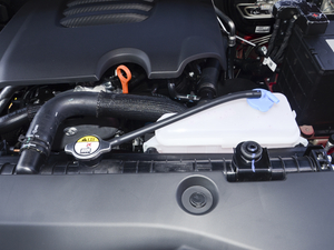 2020款越野版 2.0T 自动四驱进阶型 汽油 其它