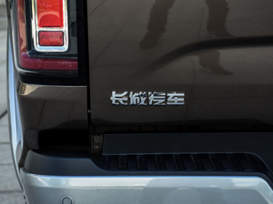 2020款乘用版 2.0T 自动四驱尊享型 小双 柴油 细节外观
