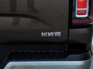 2020款乘用版 2.0T 自动四驱尊享型 小双 柴油 细节外观