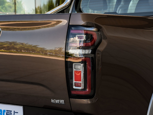 2020款乘用版 2.0T 自动四驱尊享型 小双 柴油 细节外观