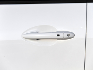 2020款商用版 2.0T 自动两驱精英型 大双 柴油 主驾门拉手