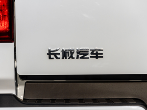 2020款商用版 2.0T 自动两驱精英型 大双 柴油 细节外观
