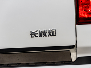 2020款商用版 2.0T 自动两驱精英型 大双 柴油 细节外观