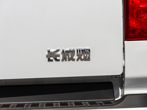 2020款商用版 2.0T 自动四驱精英型 大双 柴油 细节外观