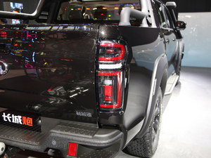 2020款乘用版 2.0T 自动两驱舒适型 小双 柴油 细节外观