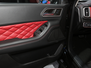 2020ð 2.0T Ԅ(dng)(q)m Сp  g