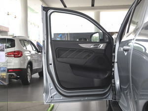 2020款越野版 2.0T 手动四驱定制型 柴油 驾驶位车门