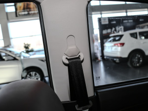 20202.4L ̓򌾫Ӣʹp VI g