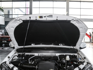 20202.4L ̓򌾫Ӣʹp VI 