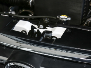 20202.4L ̓򌾫Ӣʹp VI 