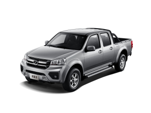2021款2.4L 汽油 四驱精英型大双排 整体外观