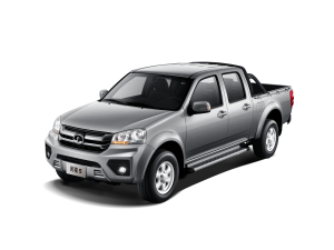 2021款2.4L 汽油 四驱精英型大双排 整体外观