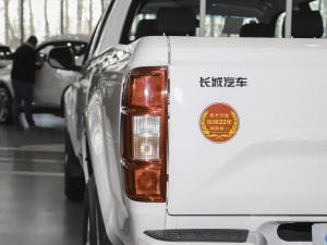 2021款2.0T 两驱超值型大双排 汽油 细节外观